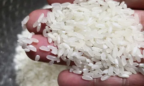 Nói thẳng: 6 loại thực phẩm này có độc, ngon rẻ mấy cũng đừng ăn
