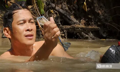 Theo chân thợ lặn miền Tây săn tôm, có ngày bỏ túi tiền triệu