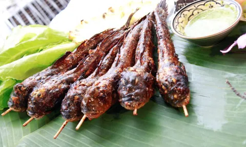 Loài sinh vật kỳ lạ nhất hành tinh có mặt ở miền Tây, ai ngờ lại thành món đặc sản "phá mồi"