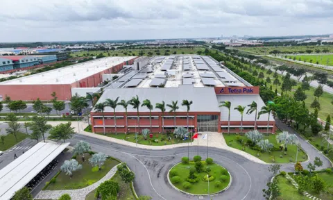 Nhà sản xuất bao bì hàng đầu thế giới tích cực thúc đẩy kinh tế tuần hoàn tại Việt Nam
