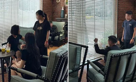 Chiếc ghế xanh hot nhất lúc này sau vụ “tổng tài gây rối ở quán cà phê”
