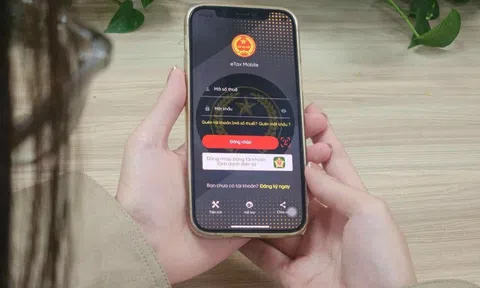 Tạm dừng các ứng dụng thuế điện tử trong 2 ngày