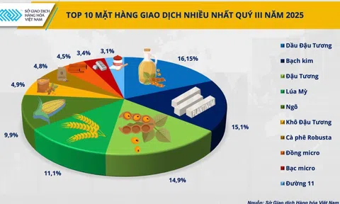 Thị phần môi giới hàng hóa: Ổn định ở top đỉnh, sôi động ở đường đua phía sau