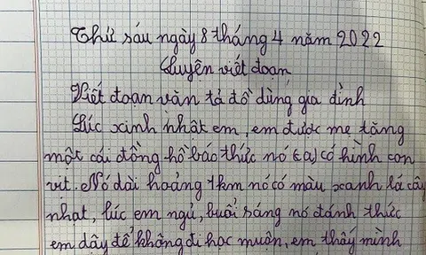 Bài văn tả chiếc đồng hồ của học sinh tiểu học khiến dân mạng bái phục