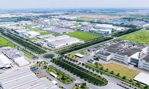 Nhà đầu tư Singapore muốn làm dự án KCN dược - sinh học và năng lượng tái tạo 100 ha tại Hưng Yên