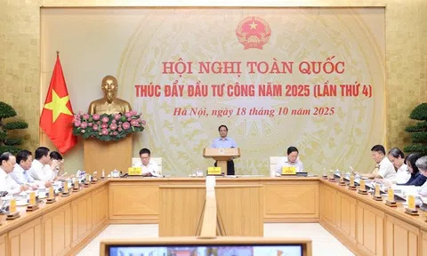 Tin vui từ Hà Tĩnh, Ninh Bình, Hải Phòng