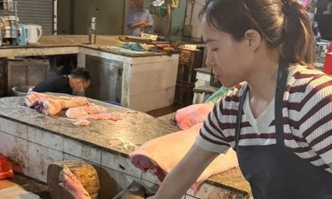 Kỹ sư thú y tiếp tay bán hơn 60 tấn lợn bệnh cho người dân làm thực phẩm