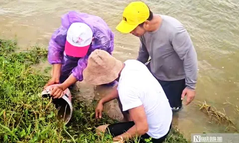 VIDEO: Săn chuột mùa nước lũ ở Huế
