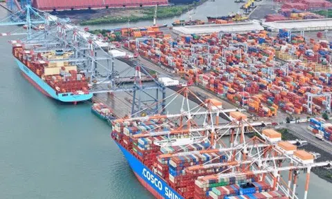 TP.HCM xây 3 cảng hành khách quốc tế để phát triển du lịch tàu biển