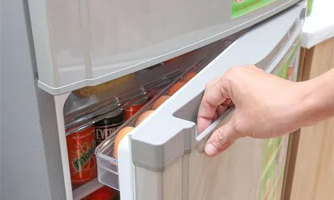 Tủ lạnh 1 cánh hay 2 cánh để đồ tốt hơn? Chuyên gia phân tích dựa trên 3 yếu tố quan trọng