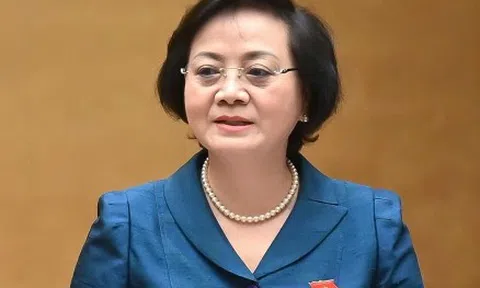 Nữ Phó Thủ tướng đầu tiên của Việt Nam thu hút truyền thông quốc tế