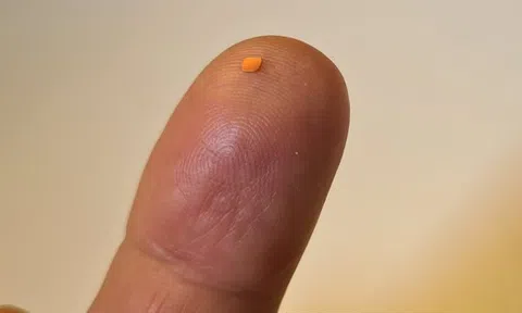 Vật thể chỉ 2mm làm nên điều kỳ diệu, giúp người mù đọc sách trở lại