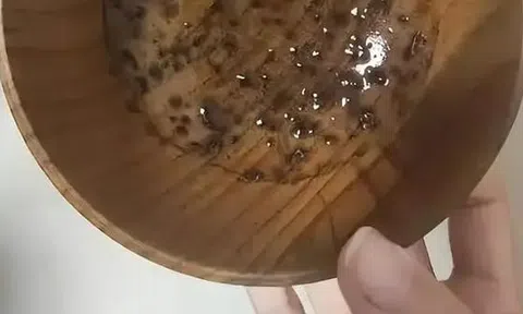 3 loại bát huỷ hoại sức khoẻ vì chứa "ổ độc tố"