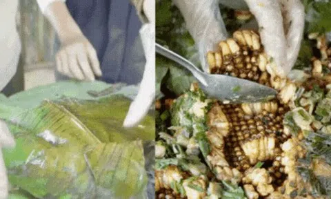 Hơn 9 triệu người vào xem món đặc sản núi rừng béo ngậy này, nhưng không biết có bao nhiêu người dám thử?
