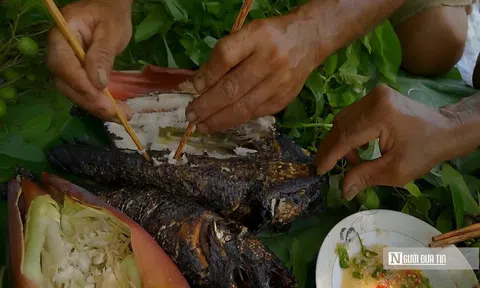 Từ món “nhà nghèo” thành biểu tượng ẩm thực của miền Tây