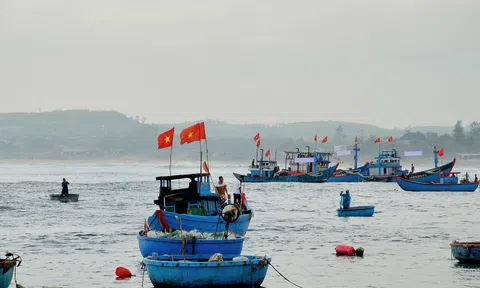 Quảng Ngãi tiếp tục nỗ lực chống khai thác IUU