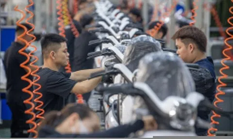 Đề xuất liên kết hệ sinh thái '3 nhà': Nhà nước, tư nhân, FDI