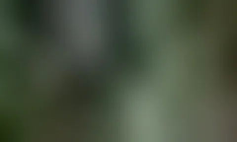 Tháo dỡ cầu sắt Long Kiểng sau nửa thế kỷ tồn tại