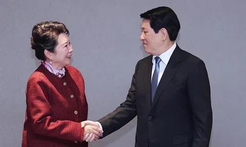 Chủ tịch nước Lương Cường tiếp, làm việc với các tập đoàn lớn