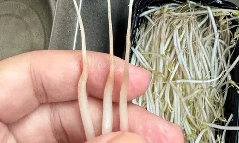 4 loại rau ở chợ thường bị “tắm thuốc” cho đẹp mắt, người bán không dám ăn, nhiều người lại thích mua