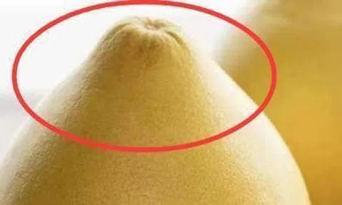 Mùa này có loại quả tốt hơn thịt: Chợ Việt bán sẵn, không mua phí của trời