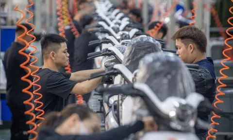 Đề xuất liên kết hệ sinh thái '3 nhà': Nhà nước, tư nhân, FDI