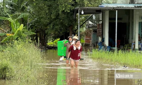Video: Người dân Lâm Đồng lội nước để mưu sinh trong những ngày mưa, lũ