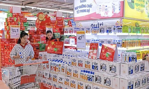 Hàng Việt Nam giữ vững thị phần 90% trên 'sân nhà'