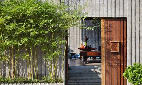 Không phải mê tín, 3 vị trí trong nhà ‘cấm kỵ’ đặt cây: Phạm phải dễ làm tài lộc tiêu tán, sức khỏe sa sút