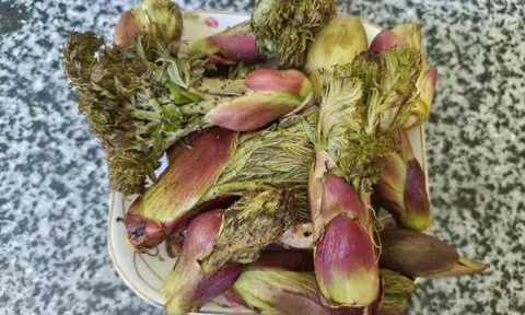 Loại rau người Trung Quốc ví là “cao lương mỹ vị số 1 thế giới”: Mọc hoang đầy Việt Nam, ít người biết