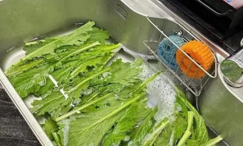 Bức ảnh khiến cả vạn người khẩu chiến