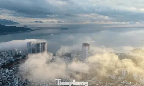 Lý do sương mù dày đặc phủ kín phố biển Nha Trang