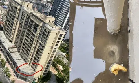 Mua căn hộ tầng hai có sân thượng tưởng trúng số, nhưng khi chuyển đến tôi mới biết đó là khởi đầu của chuỗi ngày “ác mộng”