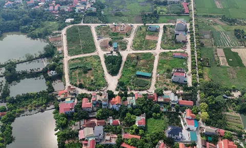 'Bảng giá đất tăng, không doanh nghiệp nào có thể giảm giá nhà'