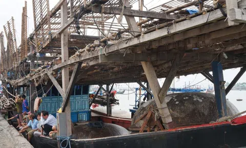 Quảng Nam tăng tốc chống khai thác IUU, sẵn sàng đón Đoàn thanh tra EC lần thứ 5