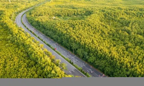 TP.HCM ủng hộ VinSpeed làm tuyến metro từ Bến Thành đến Cần Giờ