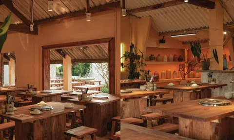 Khoai Lang Nướng: Hơn cả món ngon là triết lý "vun trồng cộng đồng"