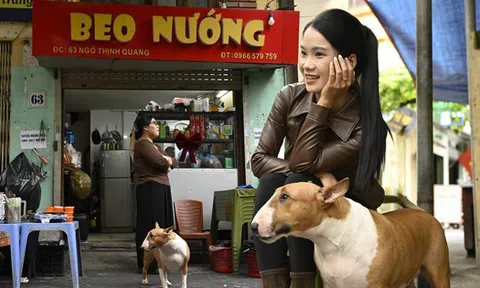 Khách xếp hàng từ sớm để gặp chú chó "nuôi được cả chủ" ở Hà Nội