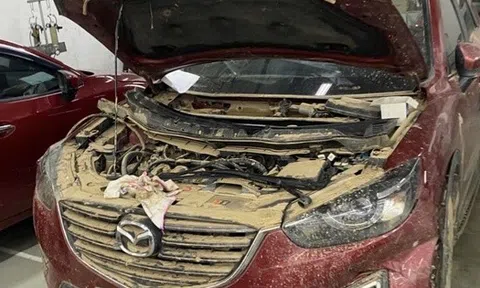 Bảo hiểm chi trả hàng trăm tỉ đồng tiền bồi thường thiệt hại do bão, lũ