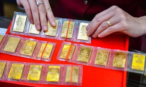 Giá vàng miếng SJC chưa ngừng rơi