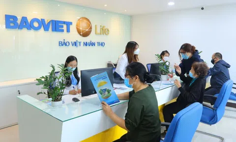 Bảo Việt trả cổ tức tiền mặt, Bộ Tài chính dự kiến thu hơn 500 tỷ