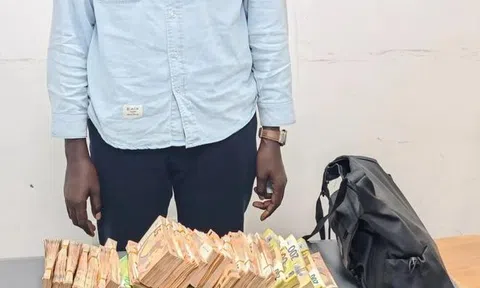 Tịch thu hơn 6,7 tỷ đồng tiền mặt trong balo của 1 du khách khi nhập cảnh tại sân bay