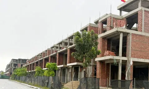 Tập đoàn Sơn Hải lên tiếng sau thông tin 'thanh tra nêu sai phạm'