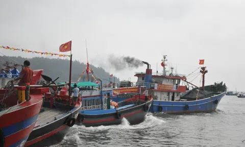 TP. Huế: Xử lý triệt để tàu cá bốc dỡ hàng tại cảng chưa được chỉ định