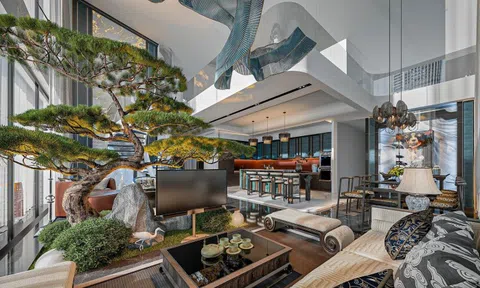 Trồng 3 cây này trong nhà: Tà khí không dám bén mảng, tiền tài tự tìm đến