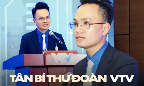 "Không biết chị còn nhớ em không..." - Cựu thí sinh Olympia viết mail cho MC Tùng Chi xin cộng tác, 13 năm sau thành Bí thư Đoàn VTV