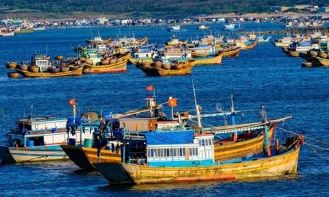 Xử lý dứt điểm tình trạng tàu cá “3 không”