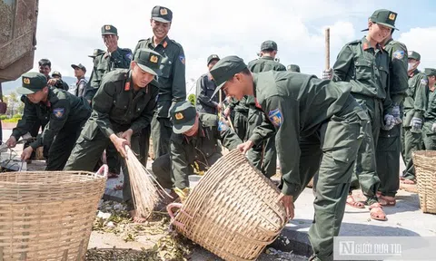 Gia Lai: Dốc toàn lực khắc phục hậu quả bão 13 với tinh thần quyết liệt nhất