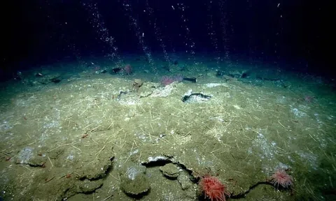 Phát hiện 40 'lỗ thở' bất thường dưới đáy biển Nam Cực, chuyên gia nói: Trái Đất có thể lâm nguy