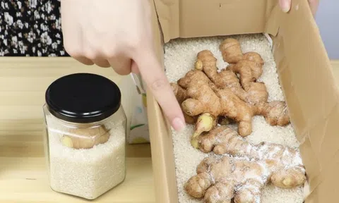 Tôi "tiếc đứt ruột" vì sống đến giờ mới biết 3 mẹo bảo quản gừng nửa năm vẫn tươi ngon, giữ được nhiều dinh dưỡng!